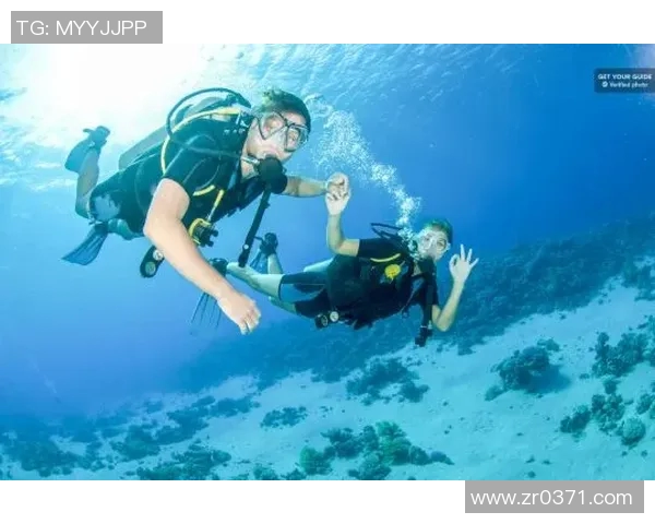 时尚与功能兼备的潜水泳装:探索深海的舒适与自由