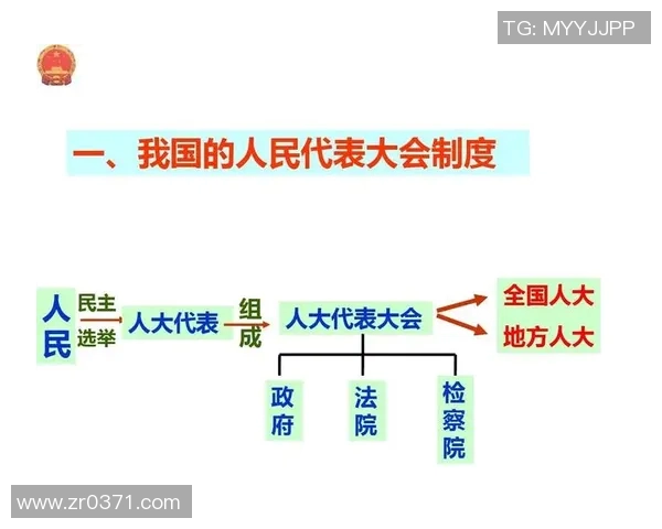 选举制度改革对国家民主发展与公民参与的深远影响分析